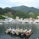 Breathtaking Ulleungdo/Dokdo Island trip During Chuseok