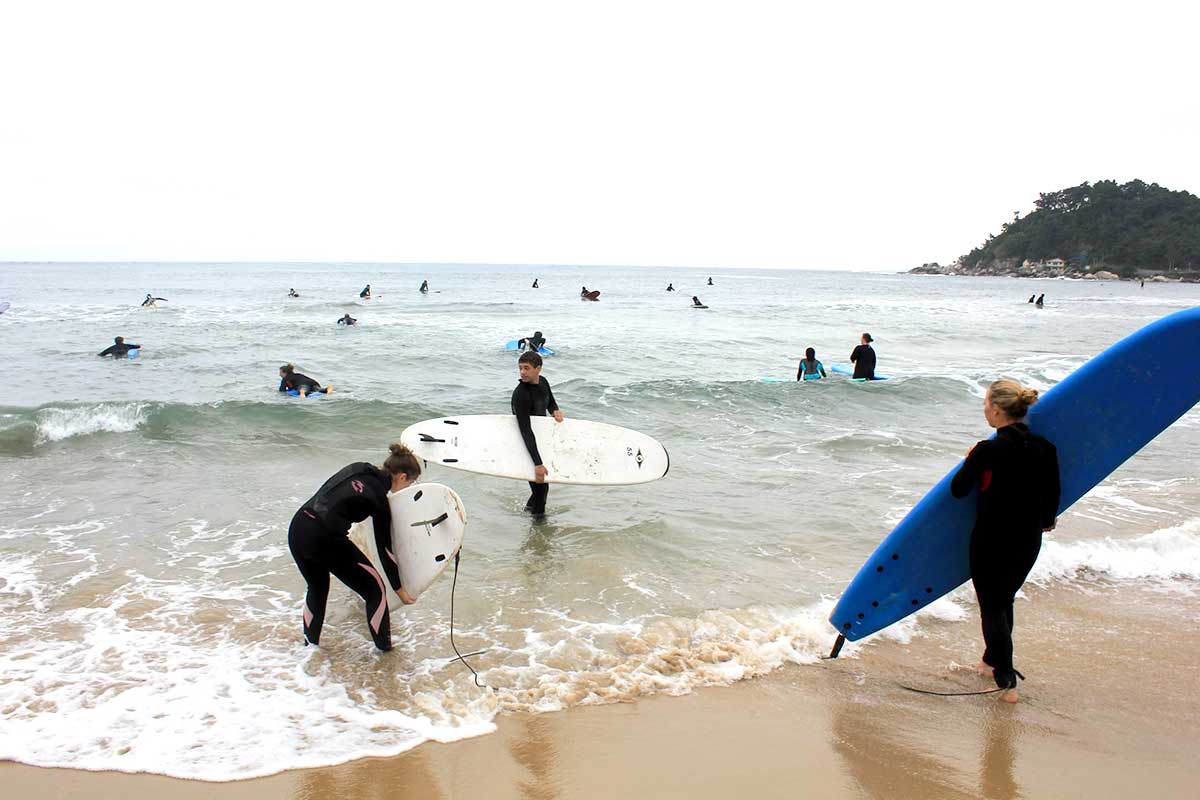 Exciting Surfing trip : DJ party, luxurious hotel, Mountain Luge and brewery tour